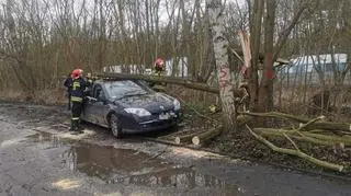 Silny wiatr łamie drzewa na Pomorzu (e-kg.pl)