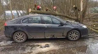 Silny wiatr łamie drzewa na Pomorzu (e-kg.pl)