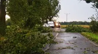 Skutki gwałtownej pogody w Oławie (Oława24)