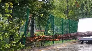 Skutki gwałtownej pogody w Oławie (Oława24)
