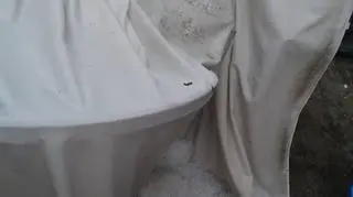 Skutki nawałnic w Osowej Sieni 