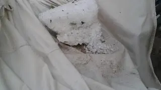 Skutki nawałnic w Osowej Sieni 