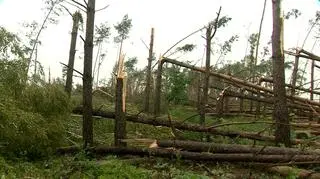 Skutki nawałnicy na Podlasiu (TVN24)