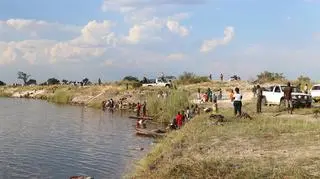 Śmierć bawołów (Simone Micheletti (Serondela Lodge)/serondelalodge.com)