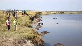 Śmierć bawołów (Simone Micheletti (Serondela Lodge)/serondelalodge.com)