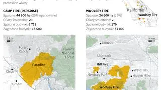 Śmiertelne pożary w Kalifornii (PAP/Małgorzata Latos)