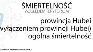Śmiertelność względem terytorium (tvnmeteo.pl za CCDC)