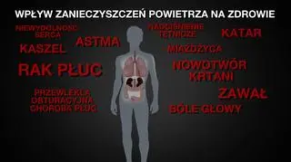 Smog niszczy organizm 