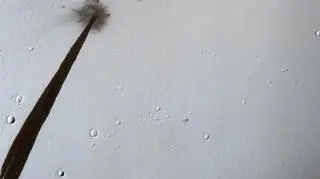 Smugi na Marsie (NASA)
