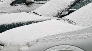Śnieg na Bemowie
