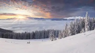 Śnieg przypomina o pięknie przyrody