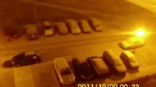 Śnieg w Białołęce (Kontakt 24/Mateusz) 	