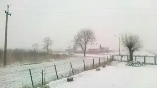 Śnieg w Biłgoraju (Kontakt 24/Grzegorz)