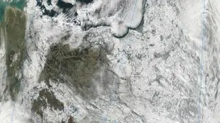 Śnieg w Polsce, 2 lutego 2012 (Aqua/MODIS, NASA)