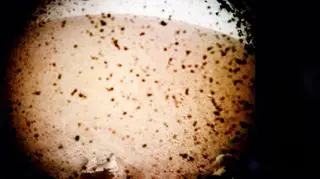 Sonda InSight będzie badać powierzchnię Marsa (NASA)