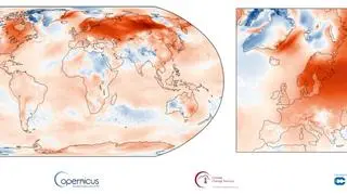 Średnia anomalia temperatury powierzchni dla stycznia 2020 roku w odniesieniu do średniej wieloletniej w latach 1981-2010 (Copernicus Climate Change Service (C3S)/ECMWF)