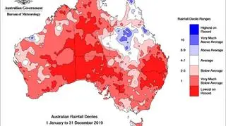 Średnia suma opadów w Australii w 2019 roku (Bureau of Meteorology)