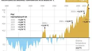 Średnia temperatura na Ziemi