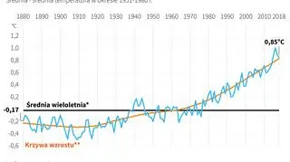 Średnia temperatura na Ziemi (Adam Ziemienowicz/PAP/DPA)