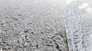 Śryż na Wiśle (Lech Marcinczak/tvnwarszawa.pl)