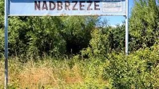 Stacje kolejowe są zupełnie zarośnięte