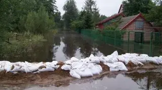 Stalowa Wola, Kontakt 24/Rafał