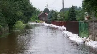Stalowa Wola, Kontakt 24/Rafał