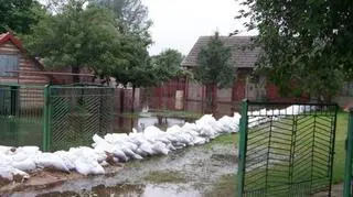 Stalowa Wola, Kontakt 24/Rafał