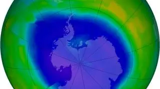 Stan dziury ozonowej 11 września 2011 r. (NASA/Ozone Hole Watch)