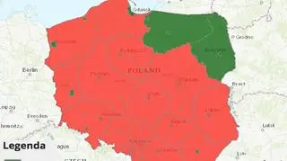 Stan jakości powietrza w 2016 roku - pył PM10 (TVN Meteo za GIOŚ)