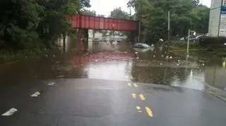 staten island 5.jpg