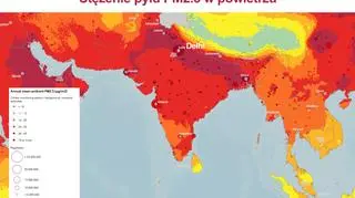 Stężenie pyłu PM2.5 w powietrzu (WHO)