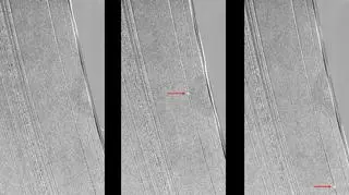 Struktury "wycięte" w pierścieniu przez jeden z księżyców (NASA/JPL-Caltech/Space Science Institute)