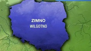 Subiektywne odczucie temperatury 8 lutego 2021 (tvnmeteo