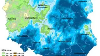 Susza rolnicza w Polsce - stan na 11 czerwca 2020 roku (IUNG)