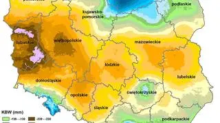Susza rolnicza w Polsce - stan z 13 sierpnia 2019 roku (IUNG)