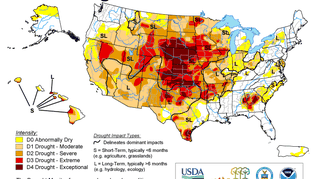 Susza w USA. Stan na 16 października (US Drought Monitor)