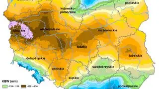 Suza rolnicza w Polsce - stan z 23 lipca 2019 roku (IUNG-PIB)