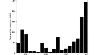 Szacowana emisja dwutlenku węgla za kołem podbiegunowym (Copernicus Atmosphere Monitoring Service, ECMWF)