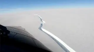Szczelina na szelfie udokumentowana na początku lutego (British Antarctic Survey)