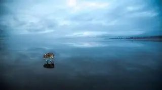 Tajemnicza aura Murmańska