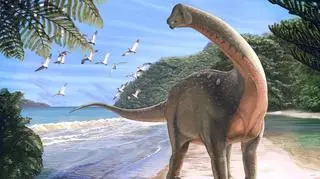 Tak mógł wyglądać mansurazaur, którego szczątki odkryto ona Saharze (ryc. Andrew McAfee, Carnegie Museum of Natural History)