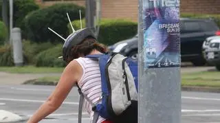 Tak przed dzierzbowronami bronią się rowerzyści (Tony Wills/Wikipedia (CC BY-SA 3