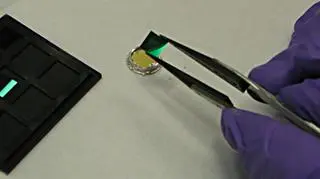 Tak wygląda mikroczip, na którym zapisane będą nazwiska (NASA/JPL-Caltech)