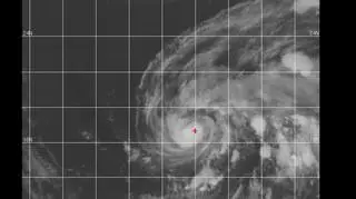 Tak wygląda Nalgae/JTWC