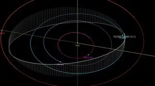 Tak wygląda orbita asteroidy (NASA)