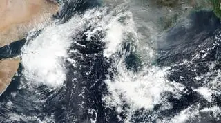 Tak wygląda sytuacja meteorologiczna na Morzu Arabskim (NASA Worldview)