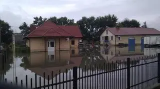tarnobrzeg1.jpg