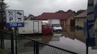tarnobrzeg3.jpg