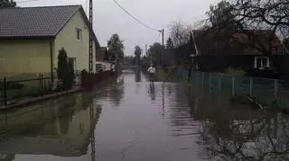 tarnobrzeg4.jpg
